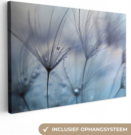 Peinture sur toile - Fleurs - Rosée - Water - Blauw - Toile - Décoration salon - 90x60 cm - Photo sur toile