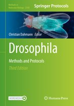 Methods in Molecular Biology- Drosophila