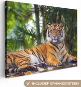 OneMillionCanvasses - Toile - Tigre - Arbres - Feuilles - Décoration Décoration murale - 80x60 cm - Toile - Peintures sur toile