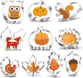 Set uitsteekvormpjes voor de herfst, oogstfeest, roestvrij staal, pompoen, , fondant, koekjessnijder voor kinderen, Thanksgiving, pompoen, esdoornblad, eekhoorns (10 stuks)