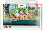 1x Graines de légumes 'Collection de légumes orientaux' - Bulbes à fleurs et plantes BULBi® avec garantie de floraison