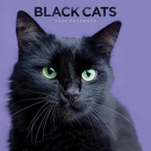 Calendrier Cats Noir 2024