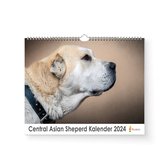 Kalender 2024 - Central Asian Sheperd dog - 35x24cm - 300gms