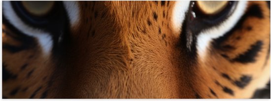 Poster (Mat) - Close-up van Tijgerkop met Lichtbruine Ogen - 120x40 cm Foto op Posterpapier met een Matte look