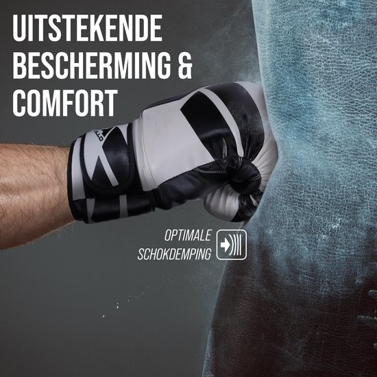 Gants de boxe Apollo , Cuir PU, gants de boxe thaïlandais, pour sac de boxe, entraînement, sparring, Fitness, Gants MMA, Gants de kickboxing, Gants de boxe femmes et hommes 12/14/16 oz