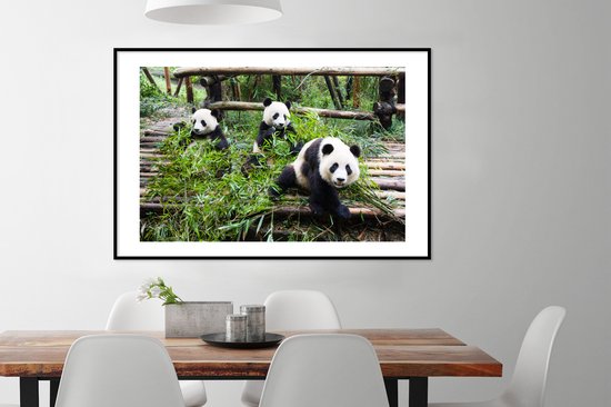 Jeunes pandas mangeant 120x80 cm