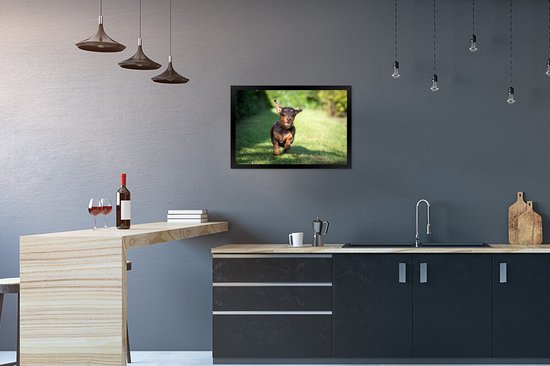 Image encadrée - Cadre photo Teckel sprint noir 60x40 cm - Affiche encadrée (Décoration murale salon / chambre)