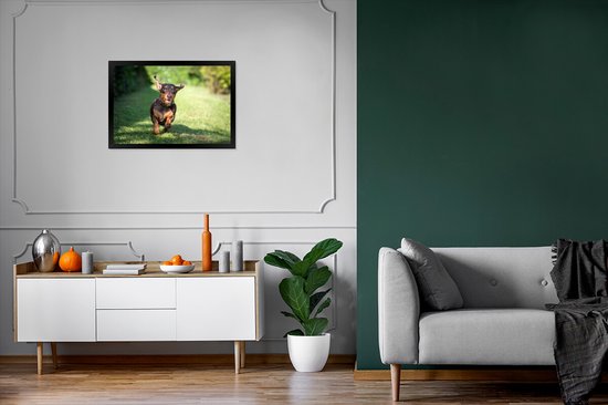 Image encadrée - Cadre photo Teckel sprint noir 60x40 cm - Affiche encadrée (Décoration murale salon / chambre)
