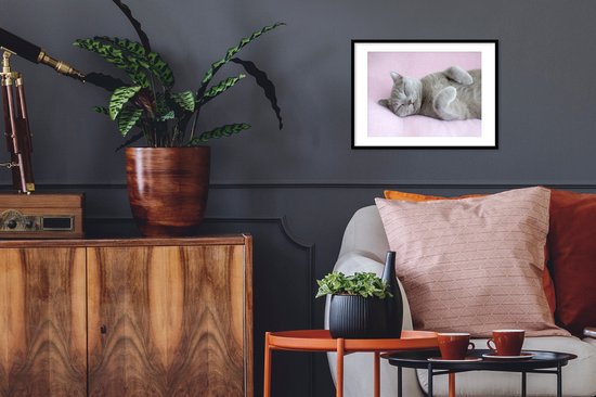 Chat gris dort sur un tapis rose 30x20 cm - petit