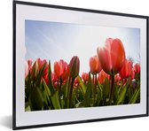 Fotolijst incl. Poster - Een veld vol met rode tulpen - 40x30 cm - Posterlijst