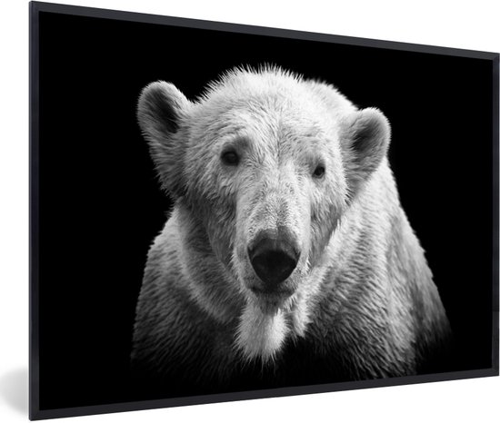 Fotolijst incl. Poster - IJsbeer - Dier - Zwart - Wit - 60x40 cm - Posterlijst