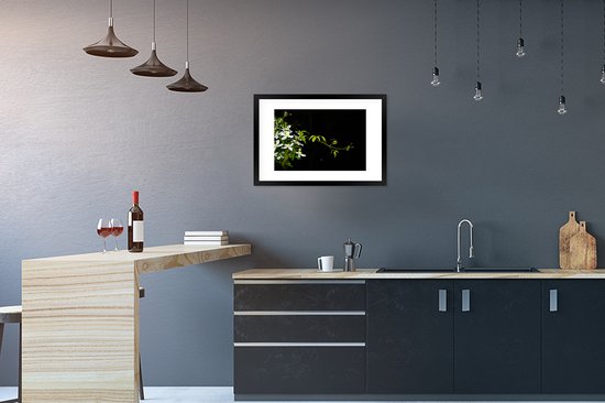 Photo en cadre - Une branche rampante de clématite blanche sur fond noir Cadre photo noir avec passe-partout blanc, moyen 60x40 cm - Affiche sous cadre (Décoration murale salon / chambre)