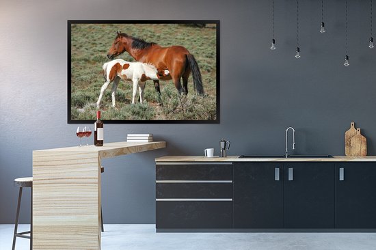 Cheval qui s'occupe de son poulain cadre photo noir sans passe partout
