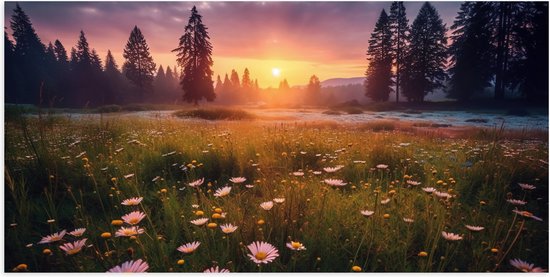 Poster Glanzend – Zonsondergang bij Roze Bloemenveld - 100x50 cm Foto op Posterpapier met Glanzende Afwerking
