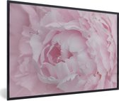 Photo en cadre - Gros plan et vue de dessus d'un cadre photo pivoine rose noir 90x60 cm - Affiche sous cadre (Décoration murale salon / chambre)
