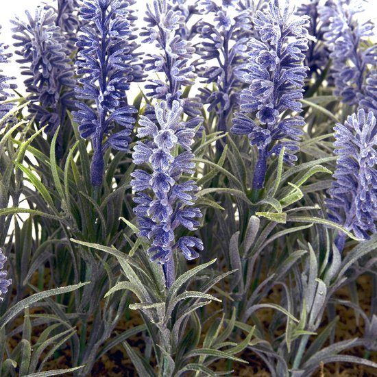 Kunstlavendel in Pot - Nep Lavendel Kunstplant - Decoratie Binnen Buiten - Onderhoudsvrij Geen Water Nodig