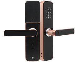 Allecto - Keyless Entry Smart Door Lock - Biometrische Vingerafdruk - Veilig Deurslot voor Voordeur - Aluminium - Slimme Toegang - Geschikt voor Wo...
