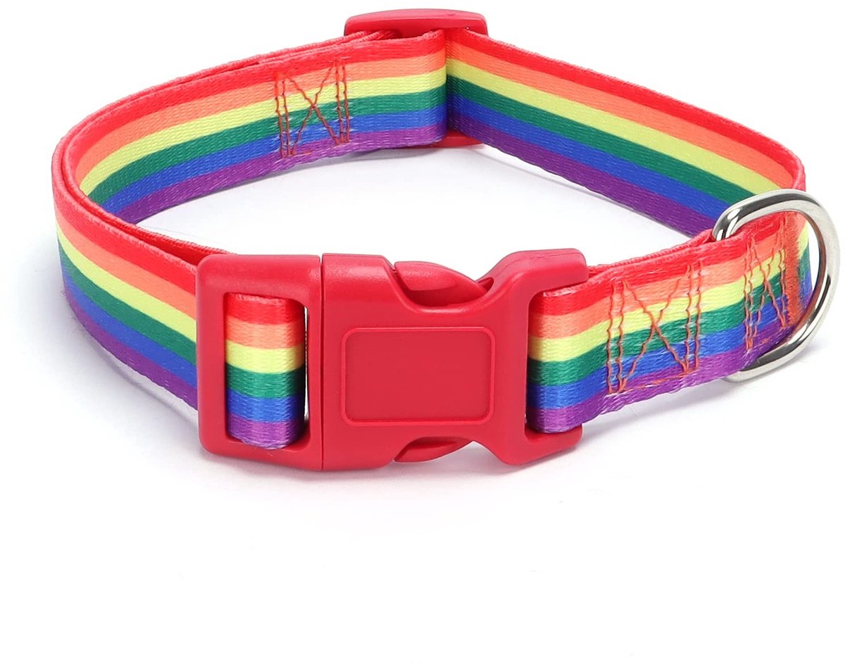 Dailygoods - Dailygoody - Hondenhalsband - Verstelbare Puppyhalsband - Zacht en Comfortabel - Regenboog - Voor Kleine en Middelgrote Honden - Ideaal voor Looptrain