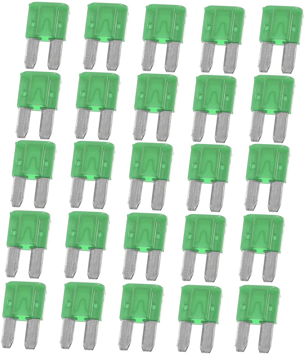 Dailygoods - Cosensi - Dailygoods - 30A Mini Meszekeringen voor Auto Vrachtwagen Motor Groen (25 stuks)