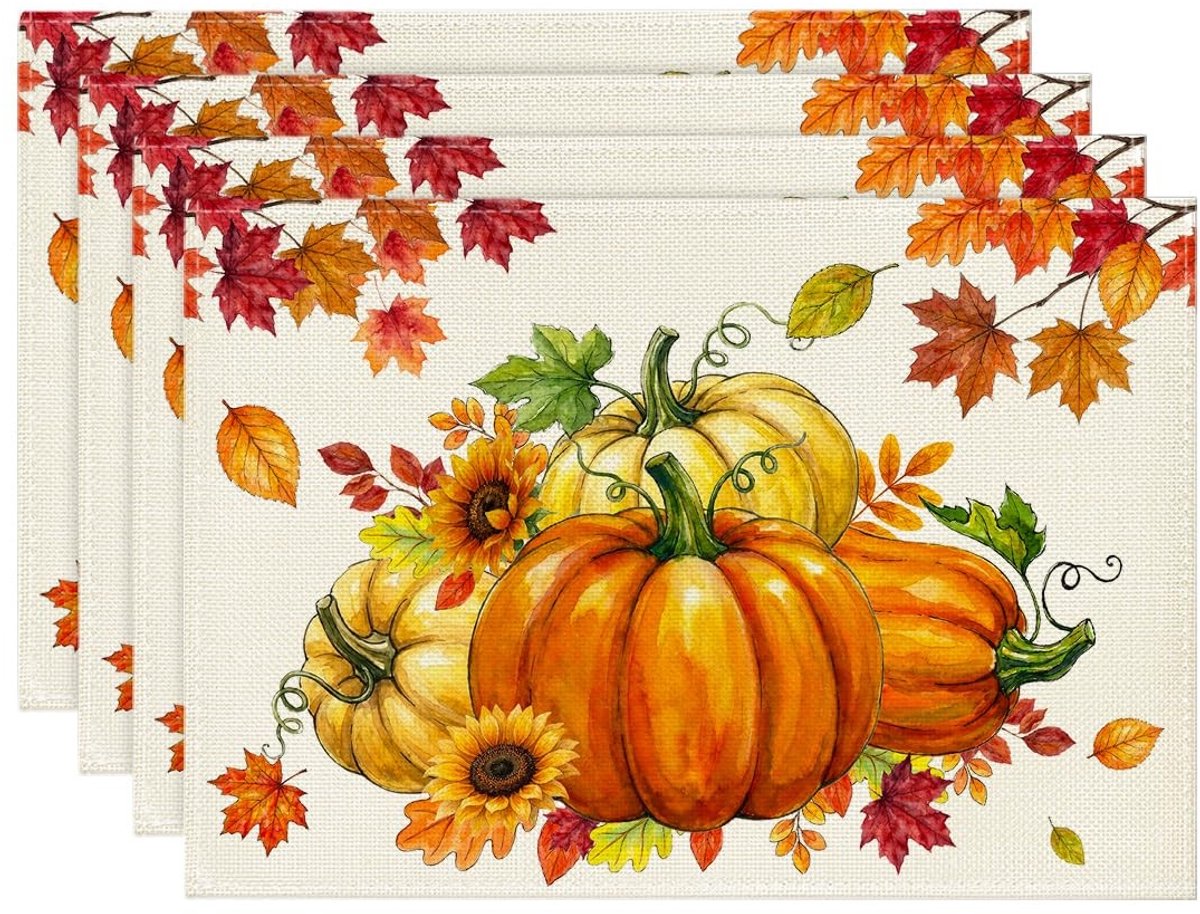 Dailygoods - Set van 4 Wasbare Placemat voor Tafeldecoratie