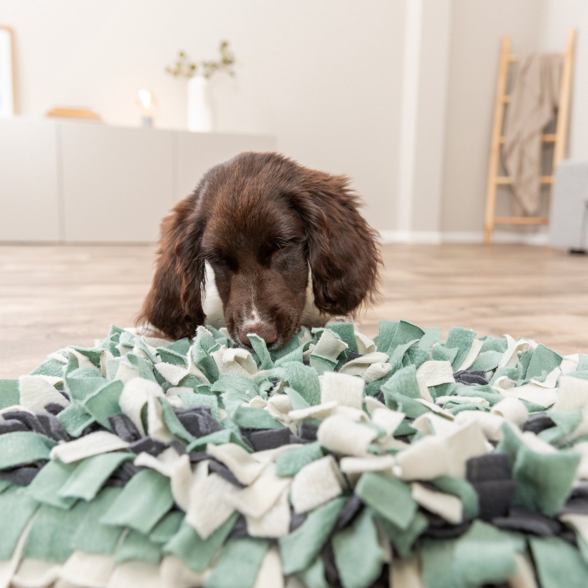 Trixie Activity - Snuffelmat voor Honden - Blauw Rood Wit - 50 x 34 cm thumbnail 6