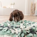 Een bruine puppy met een witte snuit snuffelt in een snuffelmat met stroken in grijs, wit en groen.