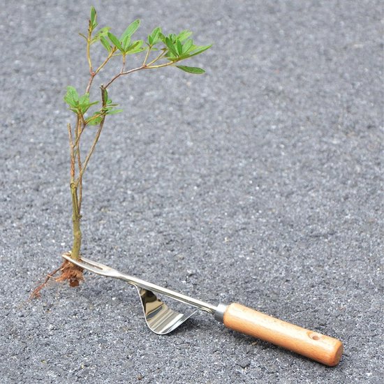 Onkruidsteker - Wortelverwijderaar Tuin - Onkruid Verwijderen - Roestvrij Staal - 1 stuk - Niet gespecificeerd — afbeelding 2