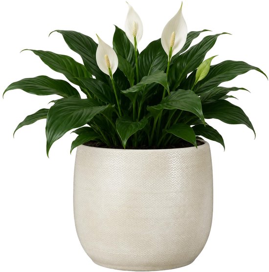 Mica Decorations Plantenpot - keramiek - wit glans / ribbels - D28 x H29 cm - bloempot Porto