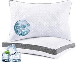 Kussens Set van 2 - Traagschuim Kussens - Comfortabel Slapen - Verstelbare Hoogte - 46x66 cm - Wit