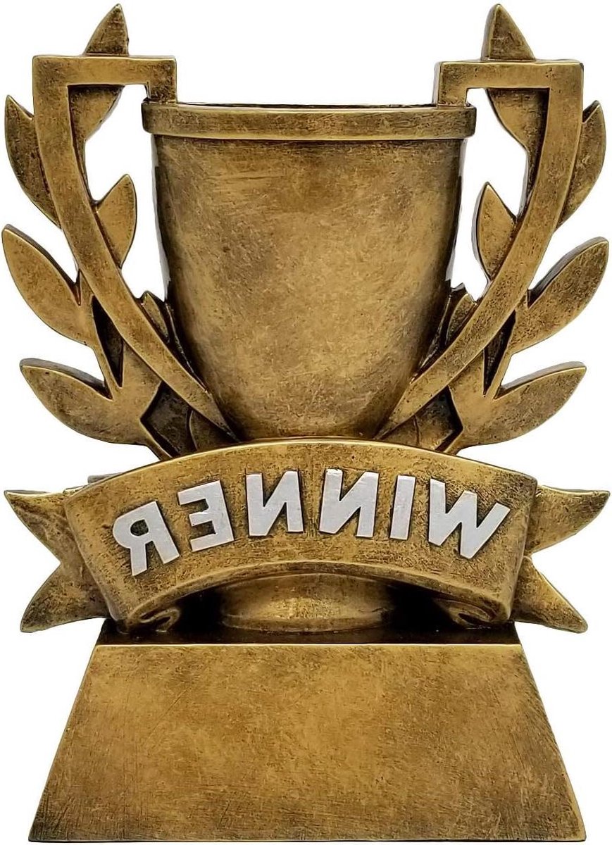 Winnaars Beker - Prijs Beker - Wedstrijd Prijzen - Gouden Krans Detail - 18 cm Hoog - Goud Zilver