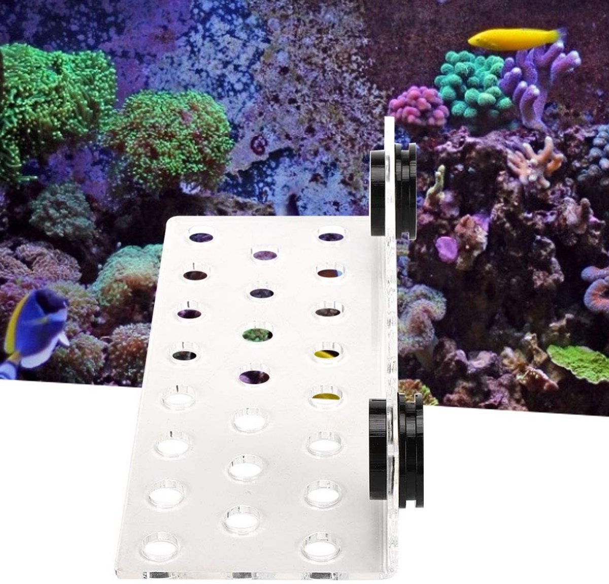 aladdien - Rack Bracket - Frag Rack Grow Gezonder - 23 gaten - Sterke magnetische ontwerpen - Geschikt voor aquarium - Flexibel en professioneel
