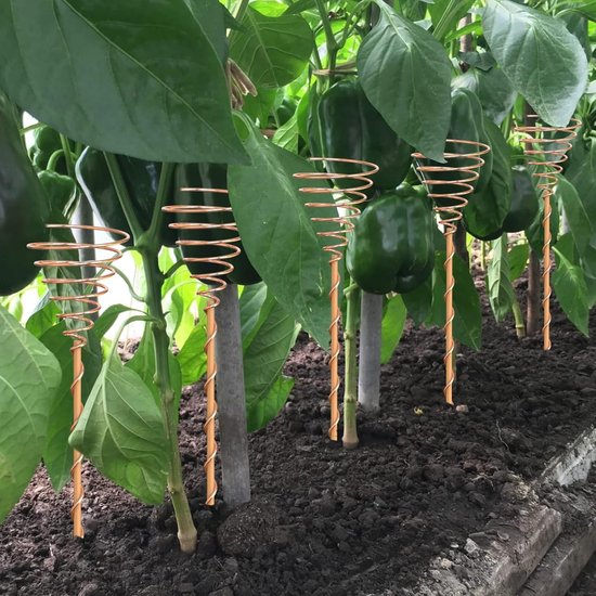 Elektrocultuur Koperen Tuinantenne - Gereedschap van koperdraad voor elektrocultuurtuinieren - Mal voor koperdraadantennes (2 stuks) van Merkloos	 — afbeelding 5