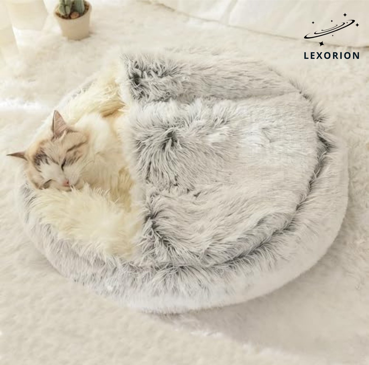 Kattenmand “Shell” Ø 50 cm – Luxe Pluche & Extra Gevuld – Comfortabel Halfgesloten Design – Antislip Bodem – Grijs