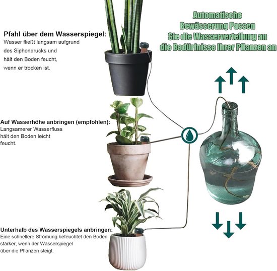 6 Stuks Automatische Waterdispenser voor Binnenplanten, Ideaal voor Planten en Bloemen, Handige Watergeefoplossing voor Thuisgebruik van Merkloos	 — afbeelding 4