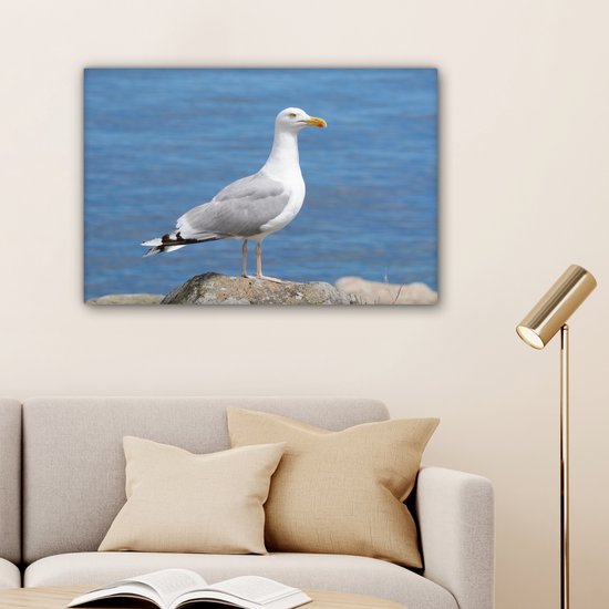 Un goéland argenté avec la mer en arrière-plan Toile 60x40 cm - Tirage photo sur toile (Décoration murale salon / chambre)