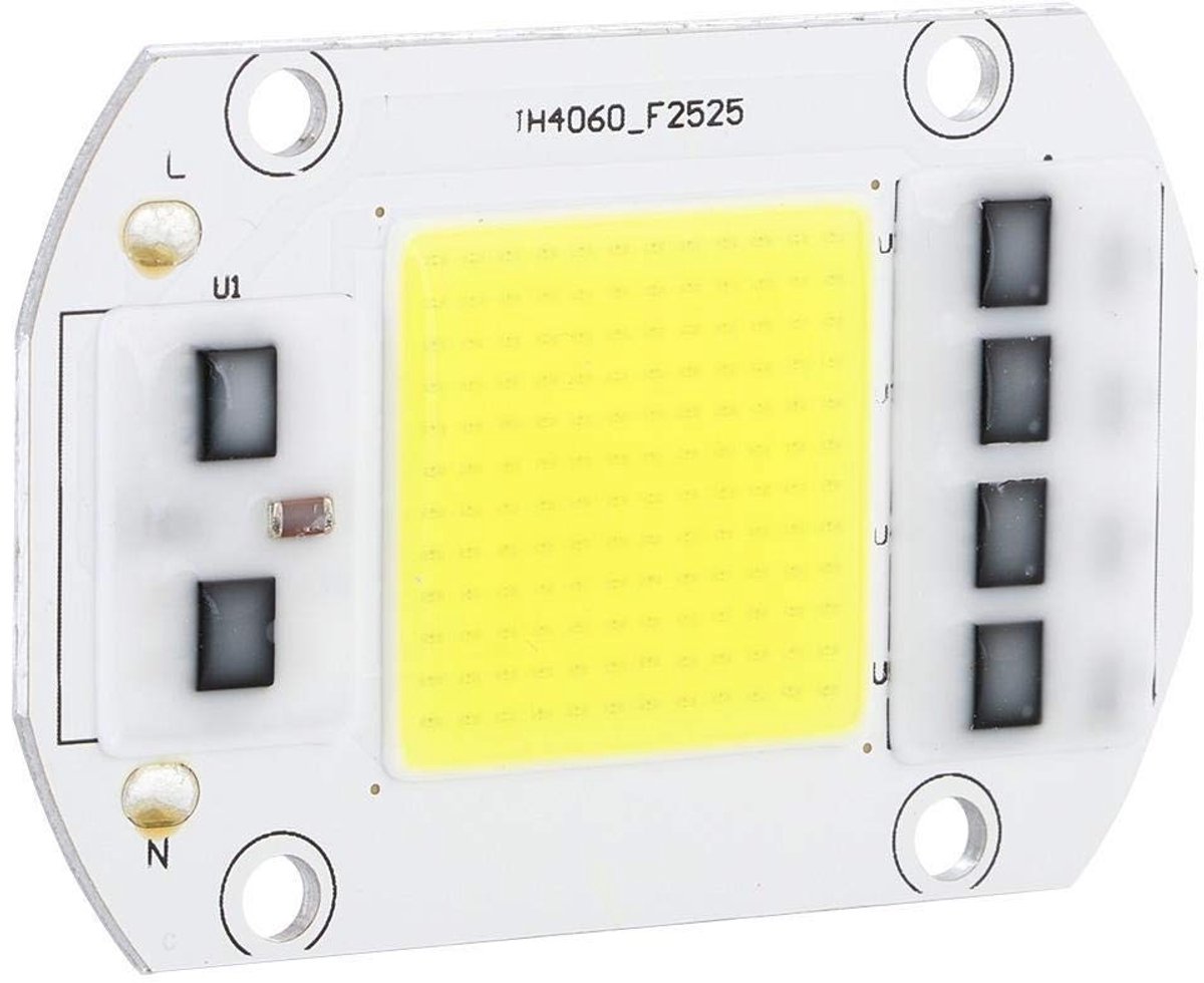 Dailygoody - 100W LED-chip - Hoogspanning - Koud wit - Dimmer Gloeilamp - Lichtbron voor binnen en buiten - Geschikt voor thuistuin en sfeerverlicht