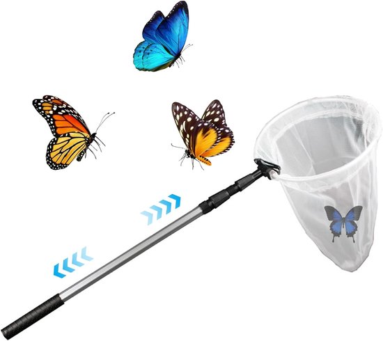 Vlindernet met telescoopsteel, met vier vlinders eromheen, waarvan één in het net.