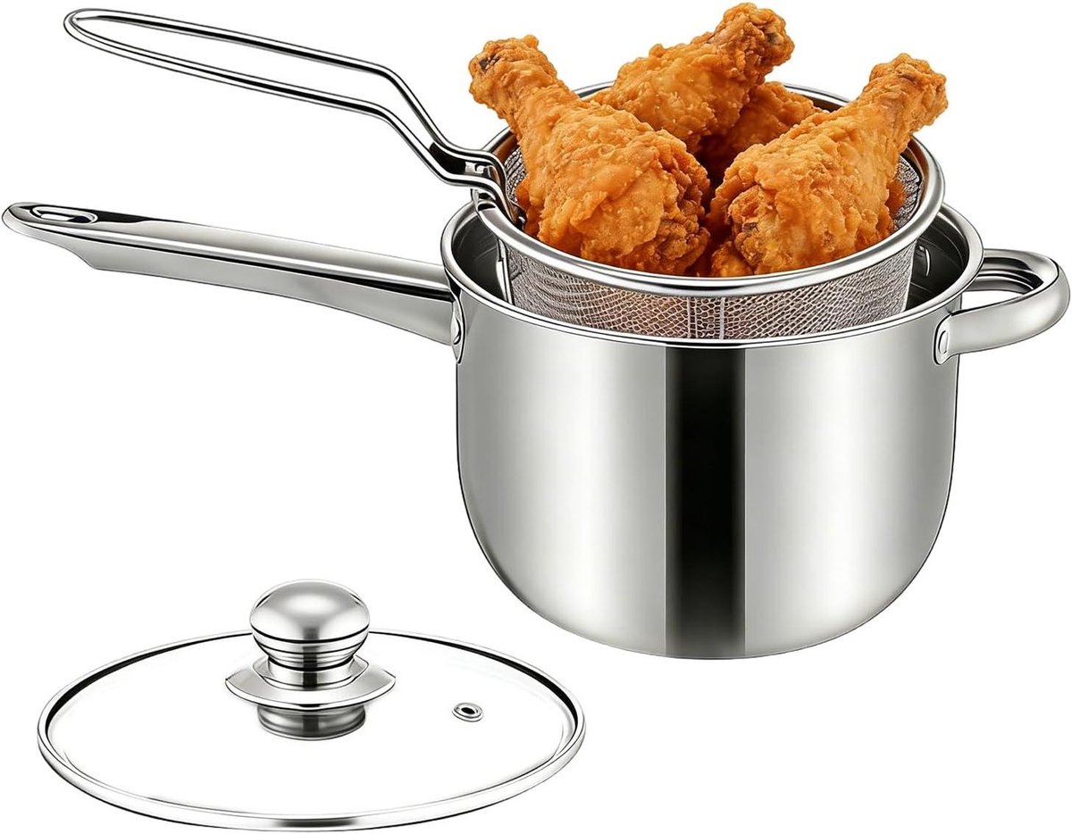 Mini Friteuse - Kleine Frituurpan - Thuis Frituren - Efficiënt Olie Systeem - 15x20x15 cm - Zilver