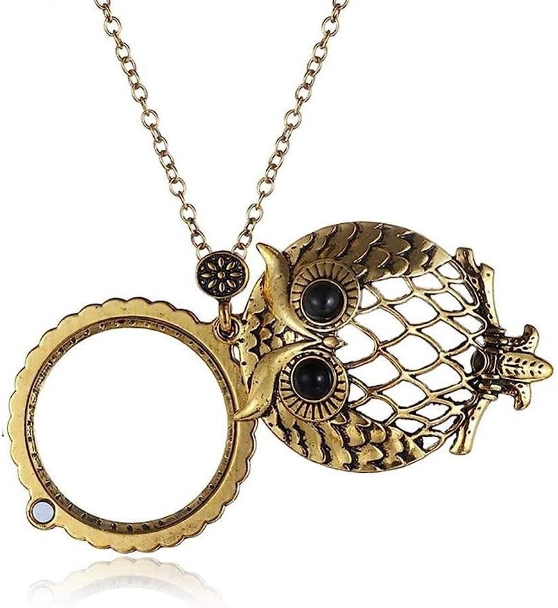 Vergrootglas met Ketting - Leesloep Hanger - Gedetailleerd Lezen - Hoge Helderheid Glas - N.v.t. - Goudkleurig