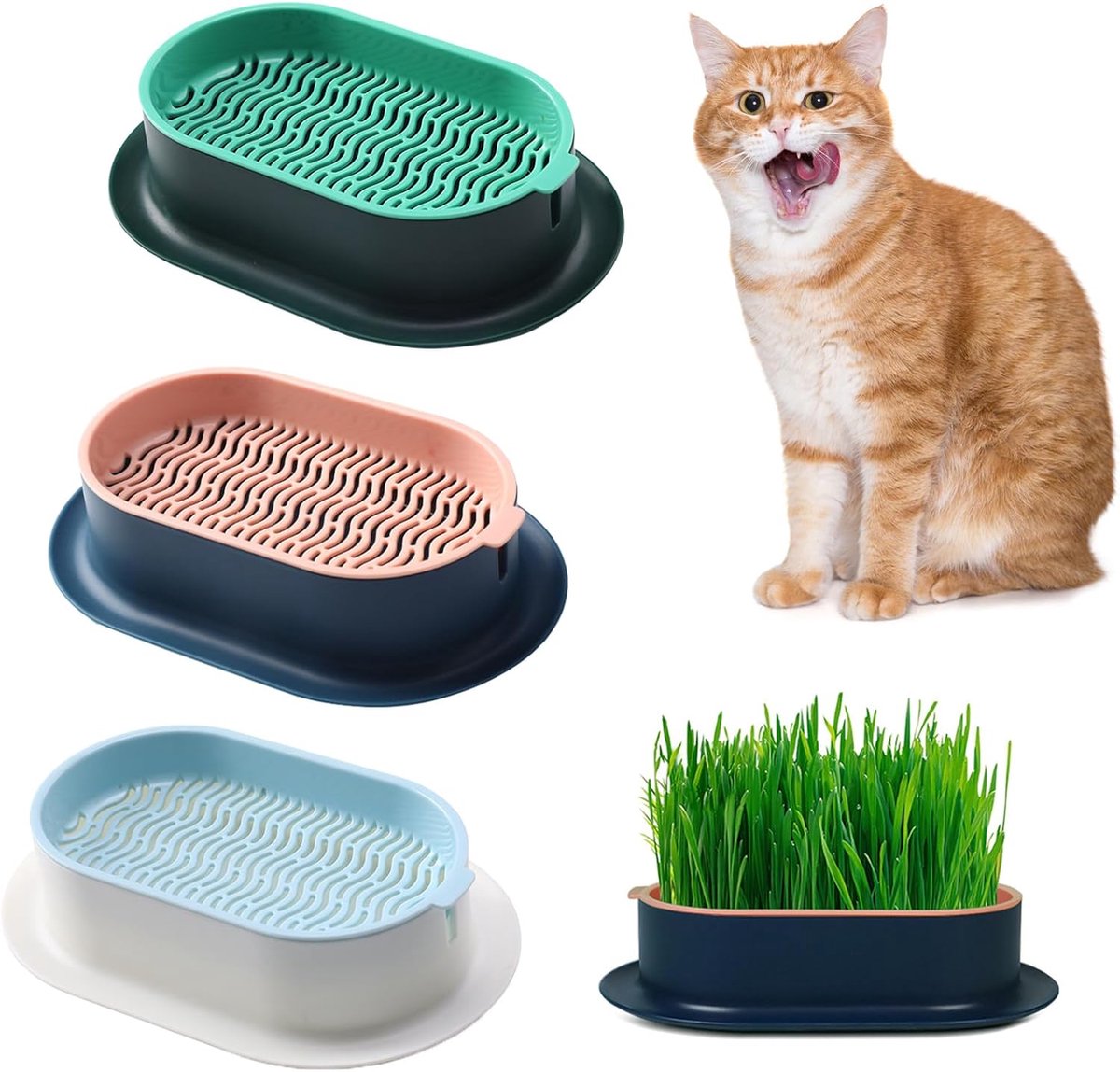 3 stuks kattengras plantenbak kattenkruid kattengras doos hydrocultuur kattengras doos kattengras dienblad kattengras container kattengras voor binnenkatten voor het planten van kattengras（Niet inbegrepen）