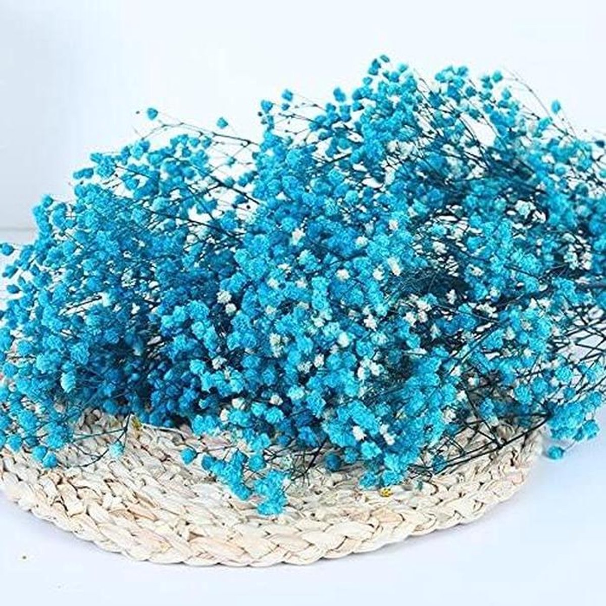 Gedroogde bloemen - Natuurlijke decoratie - Huis versieren - Duurzaam en echt - 30-40cm 30g - Marineblauw
