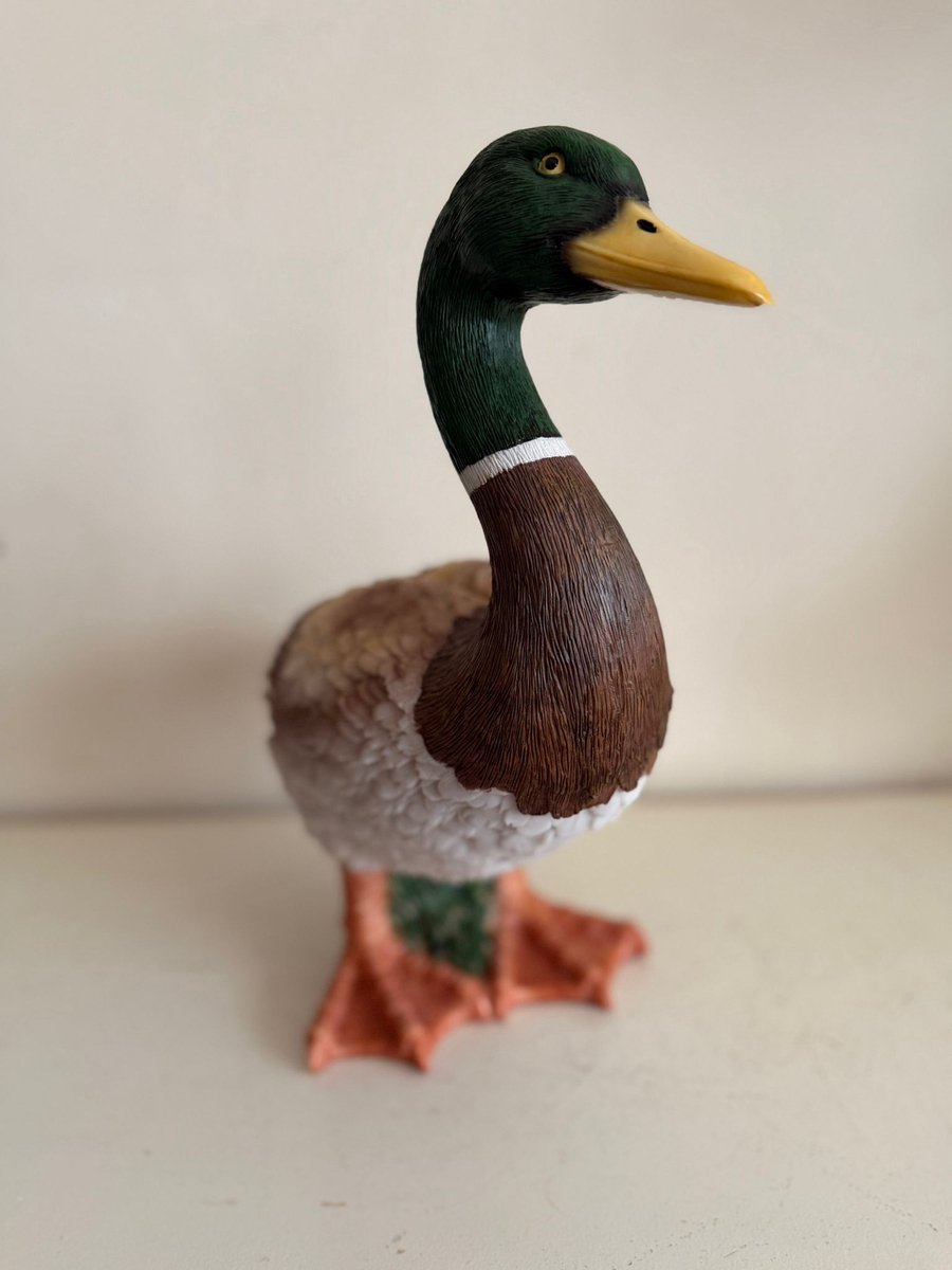 Goodyz- Wilde dieren- Vogels - Eend - Eenden - staand - originele kleuren - 36cm hoog