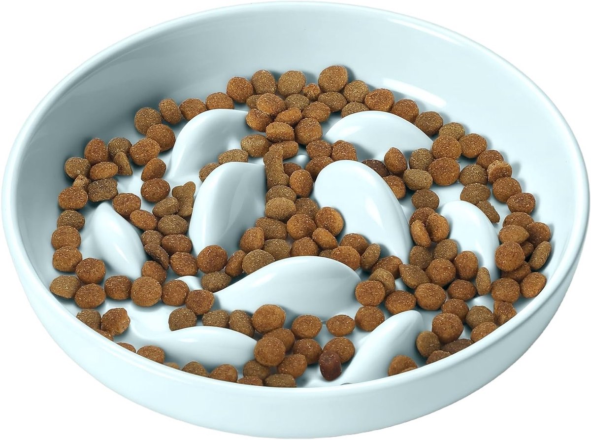 SnelShoppen - Slow Feeder Kattenbak Keramiek, Voedselbak voor Nat/Droog Voer, Spill Resistant Katten- en Hondenvoerbak met Verhoogde Rand