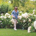 Vrouw met spijkerblouse trimt gras in een tuin met grote witte hortensia's met de Bosch grastrimmer.