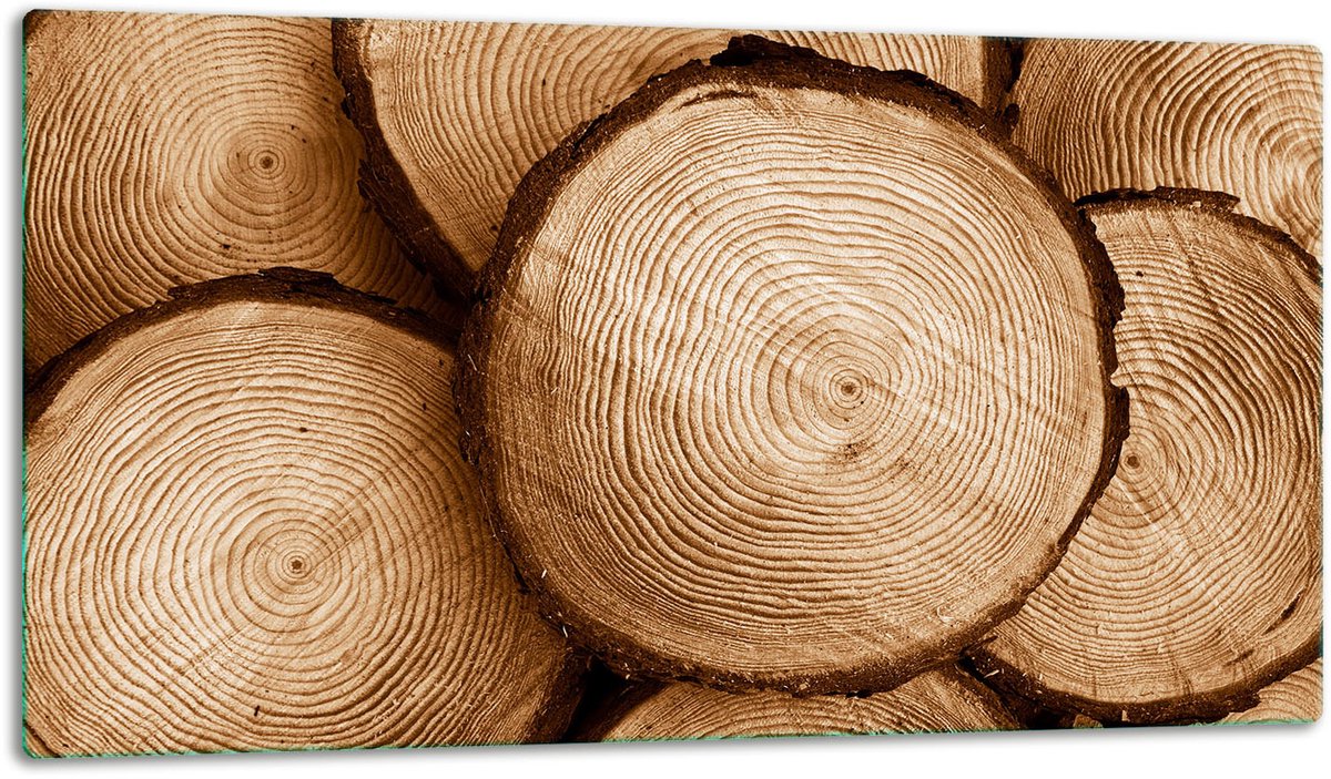 TMK ArtDeko - Snijplank - Glasplaat - 52x30cm - Inductiebescherming