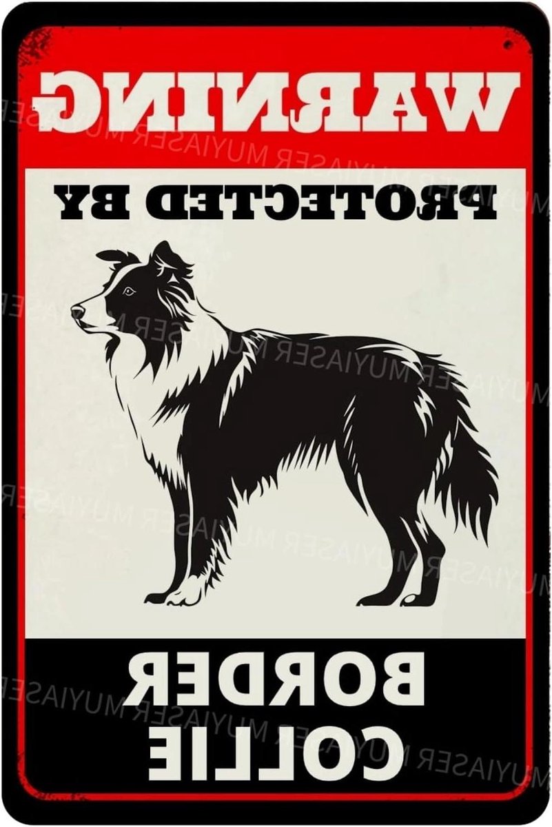 Waarschuwing hond bord - Hondenbord hek - Tuin beveiligen - Roestvrij aluminium - 20 x 30 cm - Tinnen