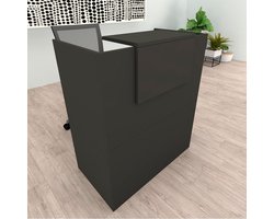 Receptie Toonbank - Balie Kantoor - Professionele Ontvangst - Verstelbare Voetjes - 100 x 50 x 107 cm - Grafiet