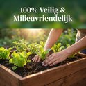 Handen planten een groen plantje in een houten plantenbak.