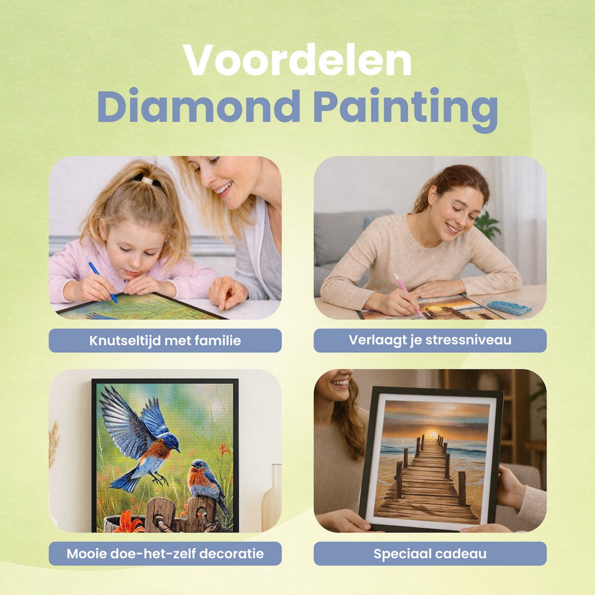 Rubye® Diamond Painting Volwassenen - Diamond Painting Kinderen - Diamond Painting Pakket Volledig - Vogels en Bloemen - 40x50cm — afbeelding 6