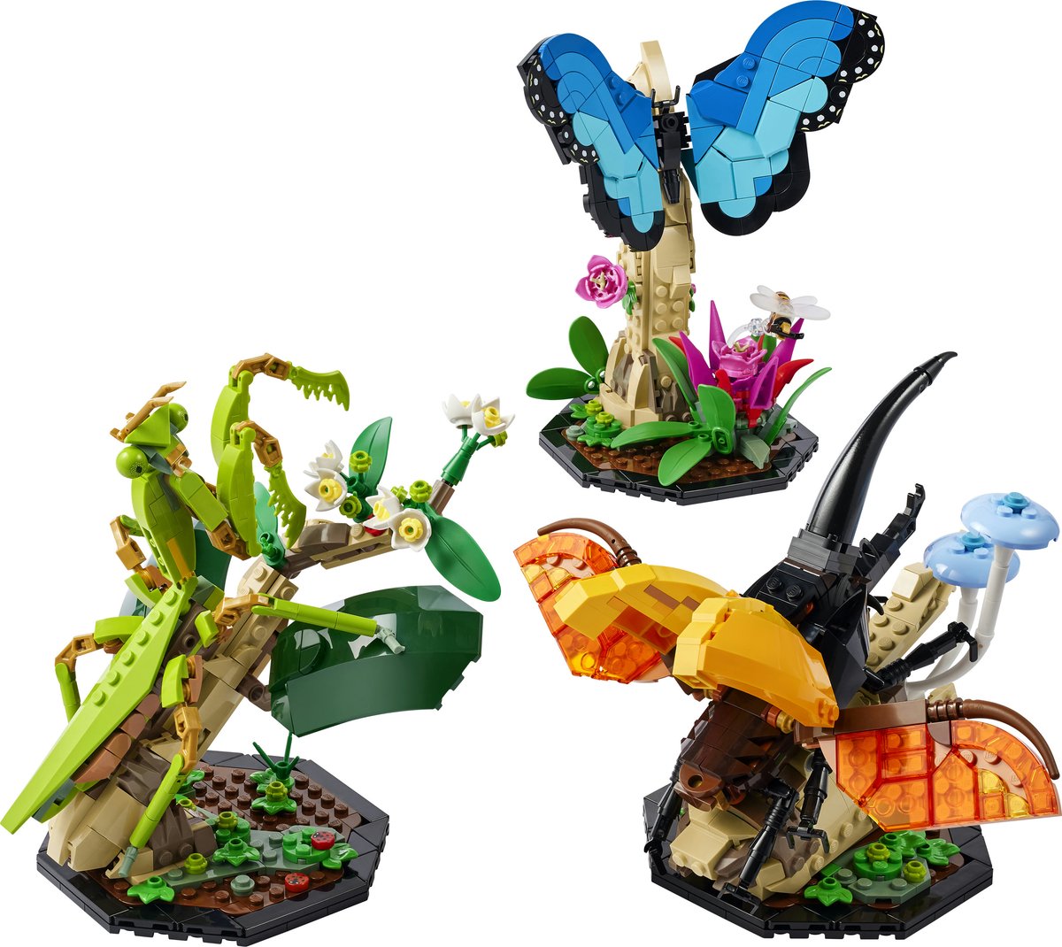 LEGO Ideas De Insectencollectie - 21342 — afbeelding 12